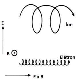 Figura 4.1: Trajetórias de elétrons e íons na presença do campo eletromagnético