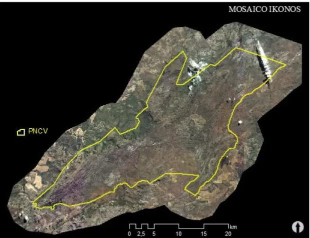 Figura  3.5 – Limite  do Parque Nacional  da Chapada dos Veadeiros  (em  linha  amarela)  sobreposto no mosaico  imagens  Ikonos