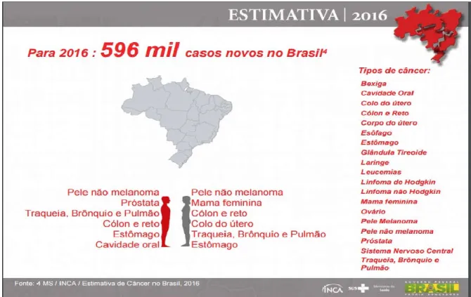 Figura 02. Estimativas de novos casos de câncer para o ano de 2016, no Brasil,  segundo sexo e localização primária