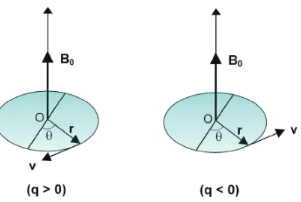 Figura 2.3: Sentido de rotação oposto devido às cargas opostas e consequente inversão da sentido da força de Lorentz [2].