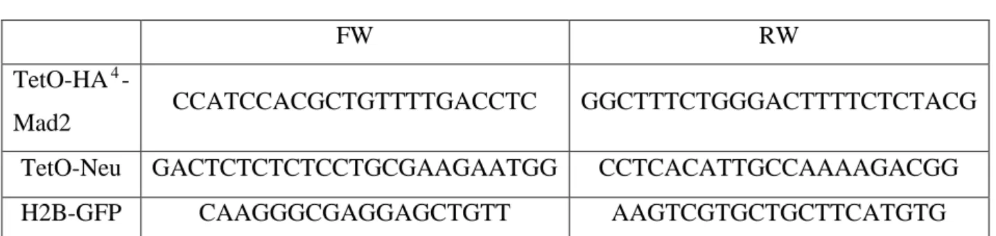 Table 1.1: Primers 