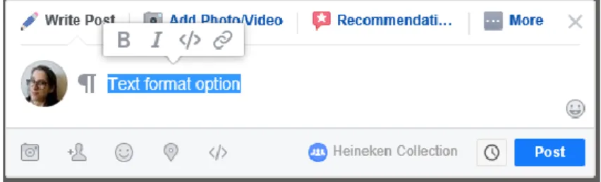 Fig. 1: Text format option 