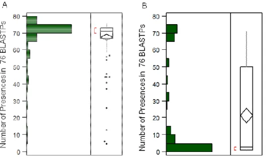Figure 2. BlastP results of MOBf – number of times a protein is found in 76 performed BlastPs