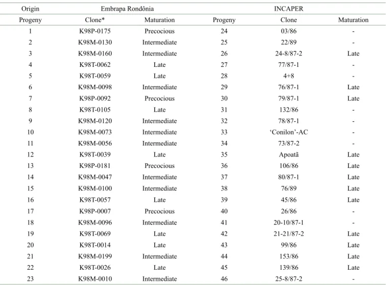 Table 1: Identification, origin and maturation cycle of Coffea canephora progenies evaluated in Rio Branco, AC.