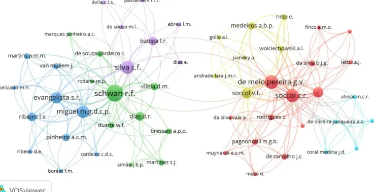 Figure 3: VOSviewer network visualization map of co-authorship.