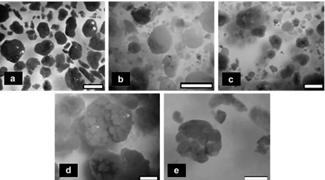Fig. 3 e Biodegradation of 2-FP in the SBR before and after bioaugmentation with Rhodococcus sp
