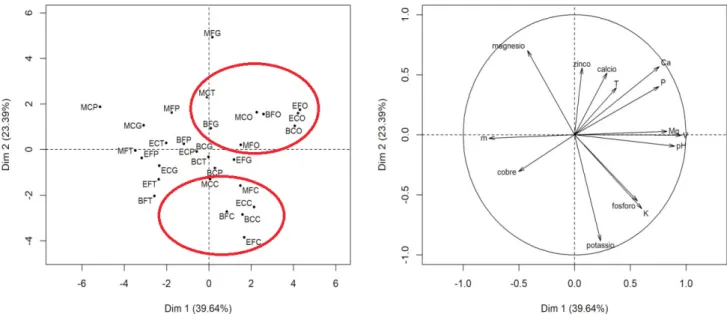 Figure 9:  Graphic dispersion of coffee trees grown with different treatments obtained from the combination of three types of  soil cover management (Brachiaria grass, polyethylene film and conventional spontaneous vegetation management), two types  of fer