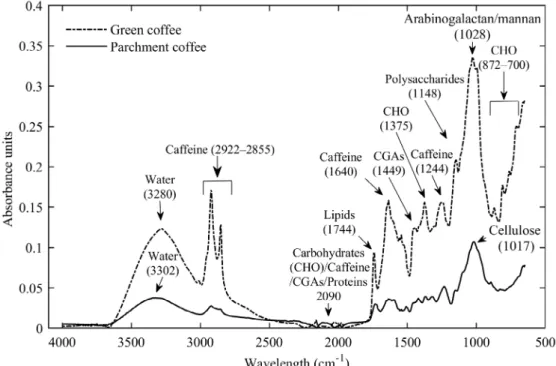 Figure 2: Mean average ATR-FTIR spectra of ground green and parchment coffee (n = 7).