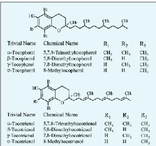 Figura 2.6. - Estrutura do Tocoferol e o tocotrienol. Fonte: Lee et al., 2004. 