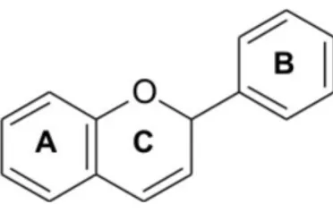 Figura 2.9. Classe de flavonóides. Fonte: Marque, 2008. 