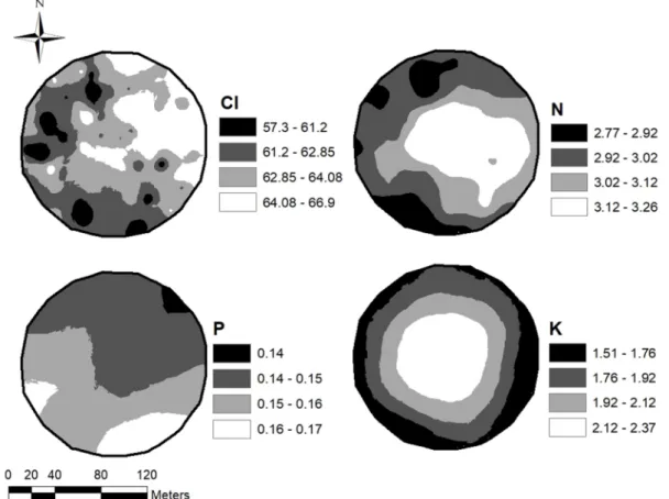 Figure 2: Spatial variability maps of the chlorophyll index (CI) and foliar nitrogen, phosphorus, and potassium (NPK) levels  expressed in dag kg -1 .
