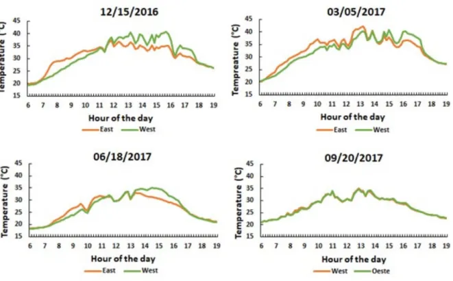 FIGURE 2 - Daily average temperature for four dates (12/15/2016, 03/05/2017, 06/18/2017, and 09/20/2017) on  a conilon coffee plant planted in the North-South alignment in Boa Esperança, ES.