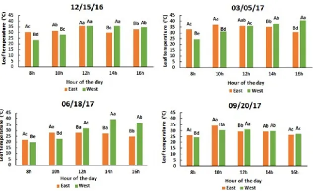 FIGURE 4 - Average leaf temperature during five hours of the day (plots) on two sides of the plant (subplots) for  four seasons of the year in a conilon coffee crop cultivated in the North-South alignment in Boa Esperança, State of  São Paulo
