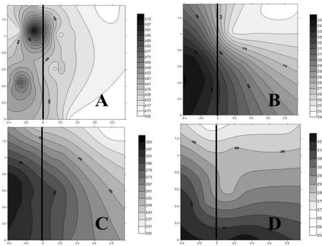FIGURE 5 -  Isolines of the internal carbon concentration (Ci) of a coffee tree in different canopy positions at  different times of the day: 6 a.m