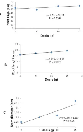 FIGURE 10 - Effect of inactivated seed inoculants on plant height (A), root length (B) and stem diameter (C)  parameters in 12-month-old plants using Araxá apatite.