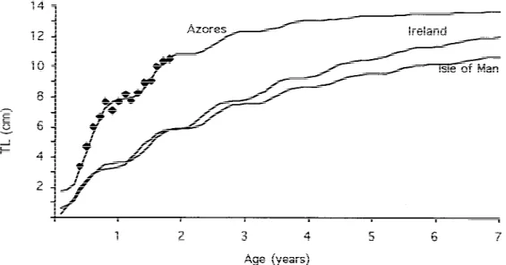 Figure 2. Growth curves for different populations of Gobius paganellus: Azores (present study), Ireland (Dunne, 1978) and Isle of Man (Miller, 1961)