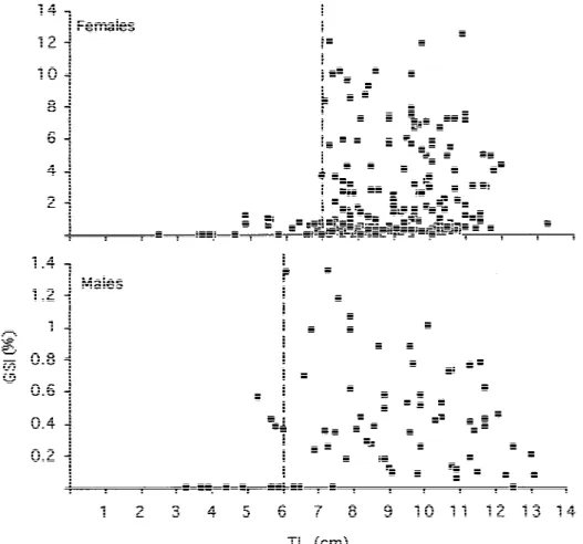 Figure 4. Length–GSI relationship for both sexes of the studied population of Gobius paganellus