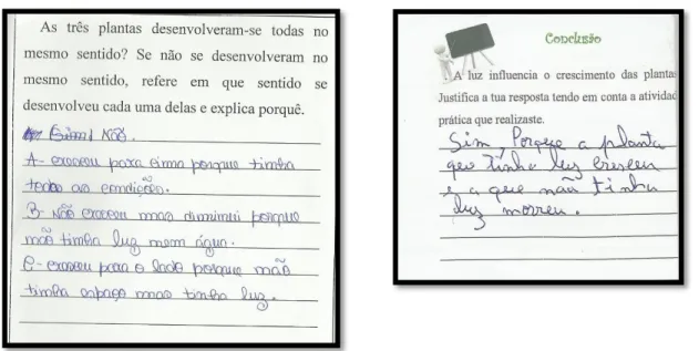 Figura 8 - Conclusões do protocolo dos alunos A12 e A14.