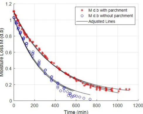 FIGURE 11 - Dimensionless Value of humidity (MR) for beans drying with parchment, without parchment, and  for the parchment-only