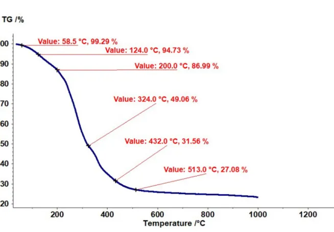FIGURE 3 - TGA diagram for coffee bean without parchment: 5°C/min. Source: Authors. 