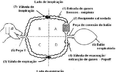 Figura 14 - Componentes dum circuito anestésico circular (ver explicação no texto). 