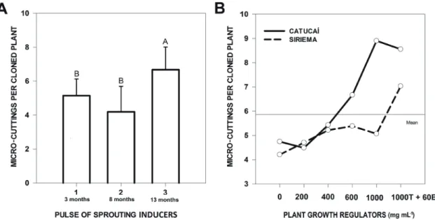 FIGURE 2 - Number  of  micro-cuttings  produced  with  the  sprouts  induced  on  in vitro cloned coffee plants  following decapitation and the use of plant growth regulators, in the greenhouse