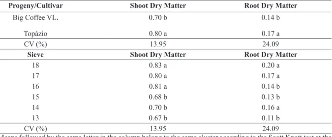 TABLE 5 - Effect of the Big Coffee  VL. progeny or of the Topázio cultivar and of the number of sieve size  classification on shoot dry matter  and root dry matter .