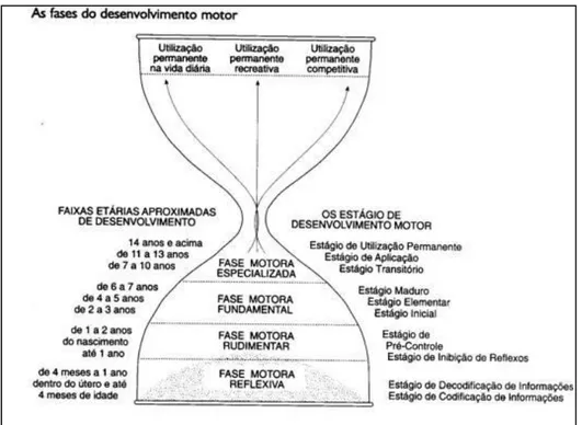 Figura 5 - As fases do desenvolvimento motor  Fonte: Gallahue e Ozmum, 2005, p. 57 