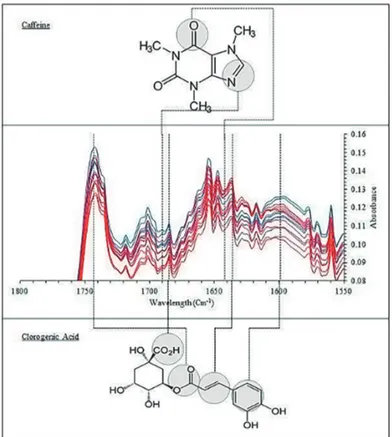 FIGURE 2 - A) FTIR spectral of pure chlorogenic acid and caffeine standards. 