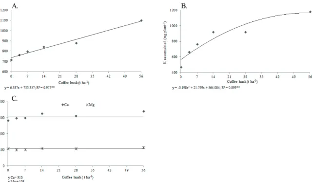FIGURE 5 - Accumulated quantities of N (A) (B), K, Ca, and Mg (C) in coffee shoots in response to coffee husk rates.