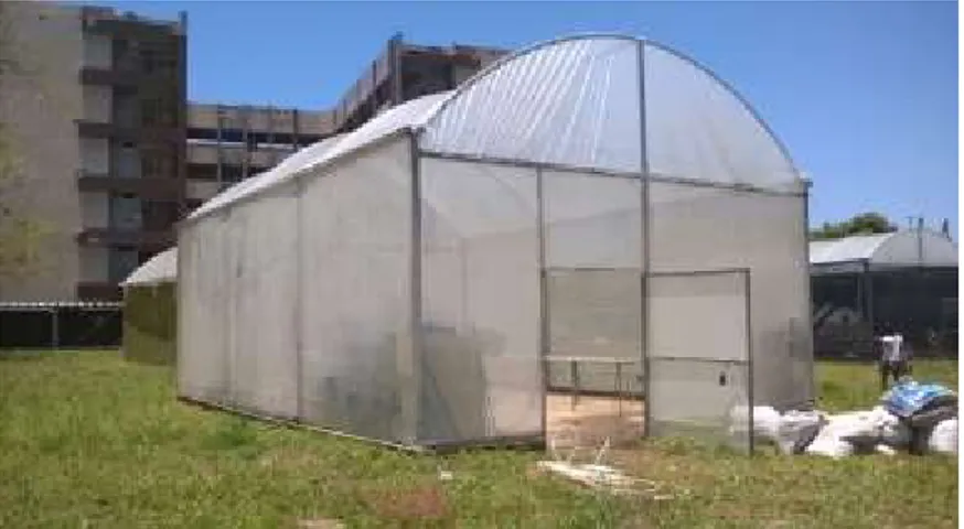 Figura 1. Vista lateral da casa de vegetação utilizada no experimento (DEA/UFS). 