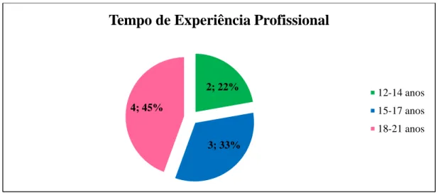 Gráfico 5 - Distribuição dos participantes por tempo de experiência profissional 