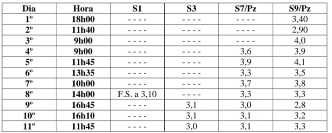 Tabela 3 Profundidade do nível de água detetado nos furos de sondagem (m) 
