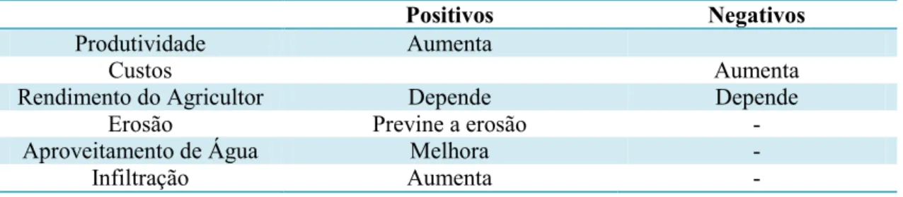 Tabela 3: Análise dos valores positivos e negativos directos para a criação de socalcos 