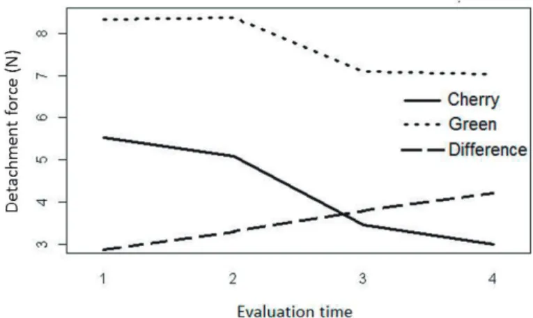 FIGURE 1 - Behavior of green and cherry FDF and the difference of such force among the evaluated stages  throughout evaluation periods.