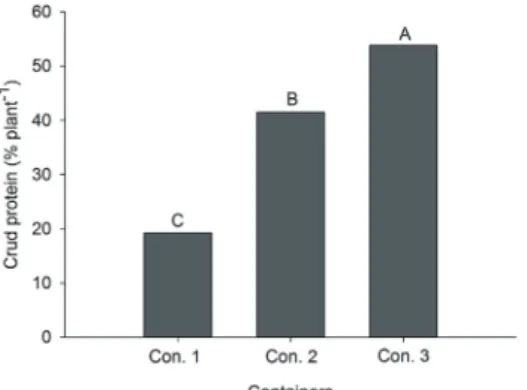 FIGURE 5 - Total crude protein in function of the containers. Cont. 1 - tube (120 cm³); Cont