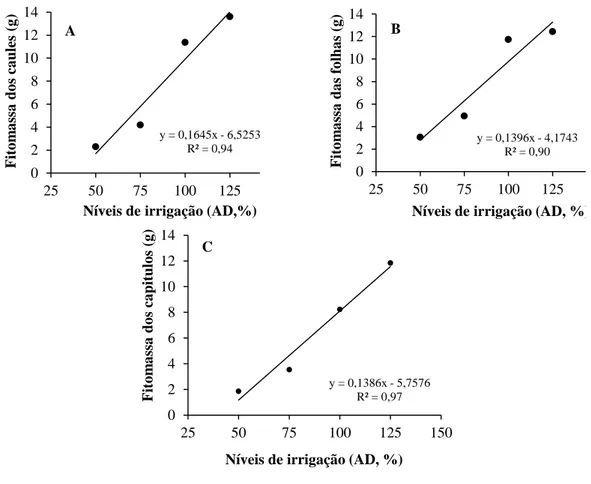 Figura 2. Fitomassa do caule, das folhas e do capitulo em função dos níveis de irrigação (água disponível do  solo, %) 