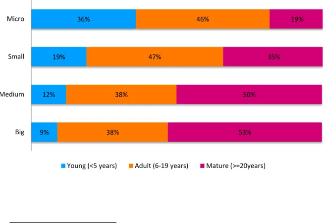 Figure 5.1.1.: Companies’ size a  and business longevity 