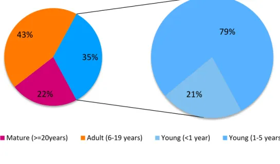 Figure 5.1.2.: Distribution of businesses by age ranges  
