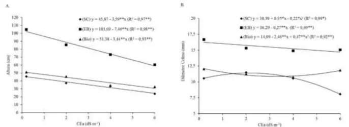 Figura 2. Altura de plantas (A) e diâmetro do colmo (B) nas plantas de sorgo cv. BRS Ponta Negra, em função  da salinidade da água de irrigação