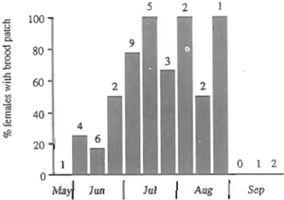 Fig.  I .   Seasonal  pattern  of  nesting,  shown  by  the  percentage of females with  brood  patch  in  10 day  periods