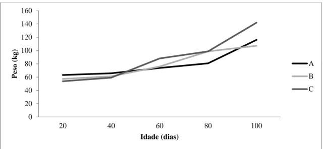 Figura 4.9 – Relação entre o peso vivo (kg) e a idade (dias) dos vitelos nas explorações  leiteiras