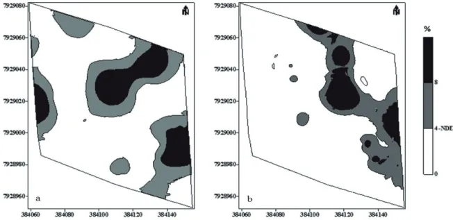 FIGURA 4 - Mapa da distribuição espacial do ataque da broca-do-café. 2012: a e 2013: b