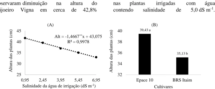Figura 1. (A) Altura das plantas de feijoeiro caupi em função de níveis de salinidade da água de irrigação; (B)  Altura das plantas de cultivares de feijão-caupi (Epace 10 e BRS Itaim), associadas ao manejo da irrigação  com água de diferentes salinidades 