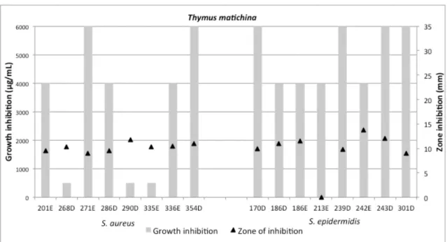 Figure 6. Thyme antimicrobial activity according to  microdilution assay and disk diffusion method on  the  plant  growth  conditions,  development