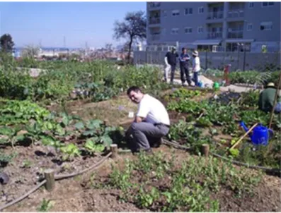 Figura 1.6 Exemplo de uma horta comunitária do Projeto Horta à Porta da Lipor. 