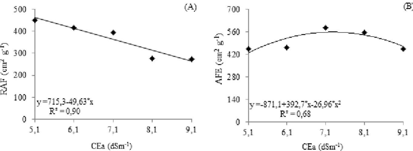 Figura 4. Razão de área foliar -RAF (A) e área foliar específica - AFE(B) do algodoeiro cv