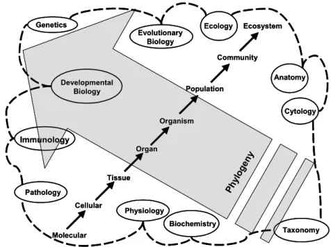 Figure  1.  Schematic  drawing  representing  the  interdisciplinary  nature  of  parasitology
