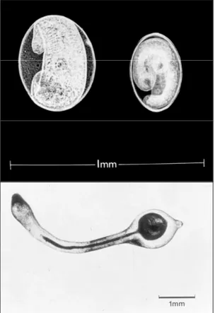 Figure 1.  Parasites used as biological tags by M AC K ENZIE
