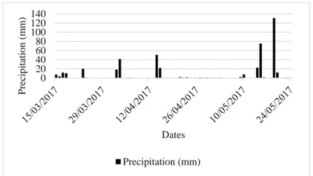 Figure 1. Daily precipitation in mm, during the experimental period. São  Cristóvão, SE, 2017